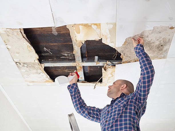 Best Mold Remediation for Rental Properties  in Lake Wildwood, CA